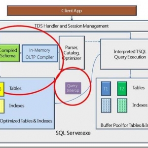 SQL Server 2014新特性探秘(1)-内存数据库