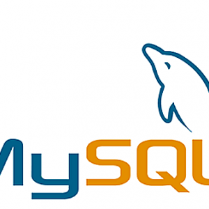 针对 MySQL 大规模数据库的性能和伸缩性的优化