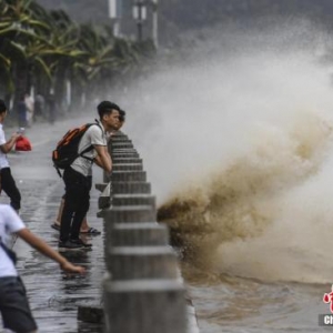 台风来袭，观向数据告你应该怎么办